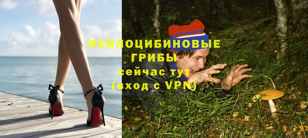 МДПВ Новокубанск